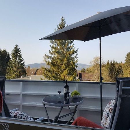 Weitblick Apartment Санкт Андреасберг Екстериор снимка