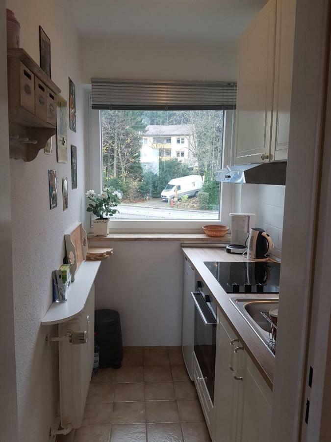 Weitblick Apartment Санкт Андреасберг Екстериор снимка